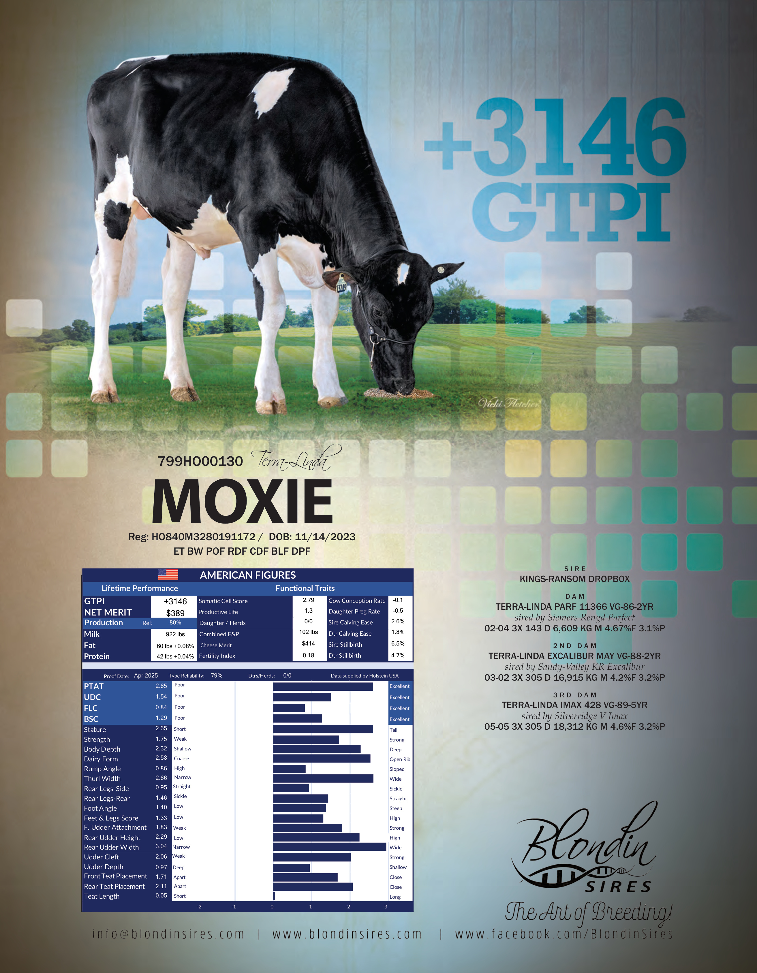 MOXIE — 799HO00130